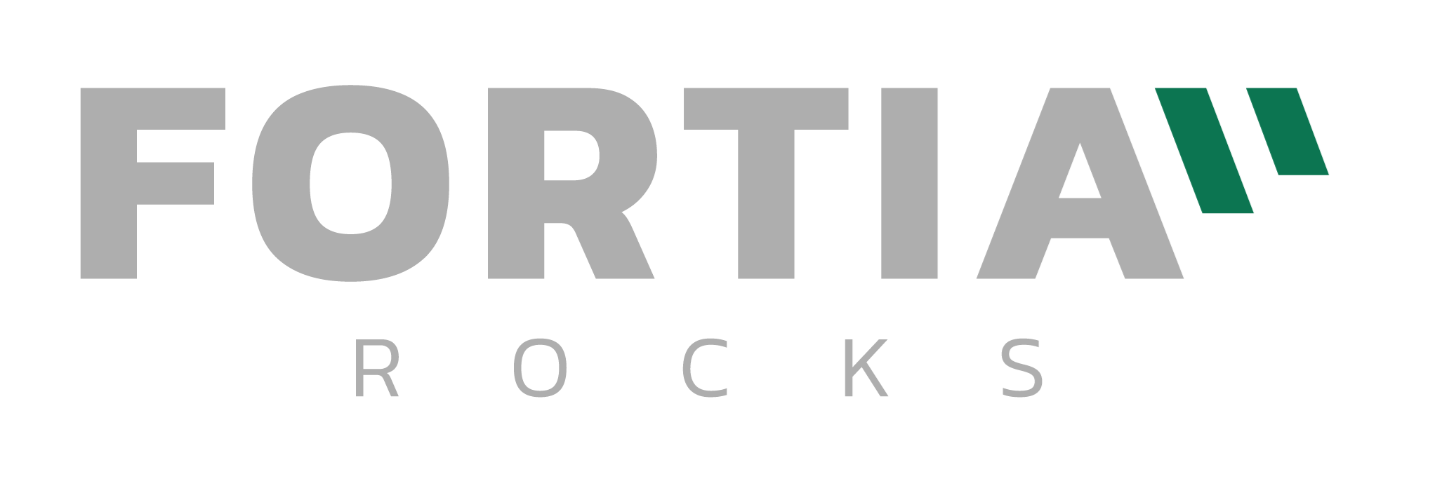 Logo_Fortia_Rocks-091 (003)